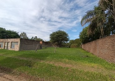 TERRENO